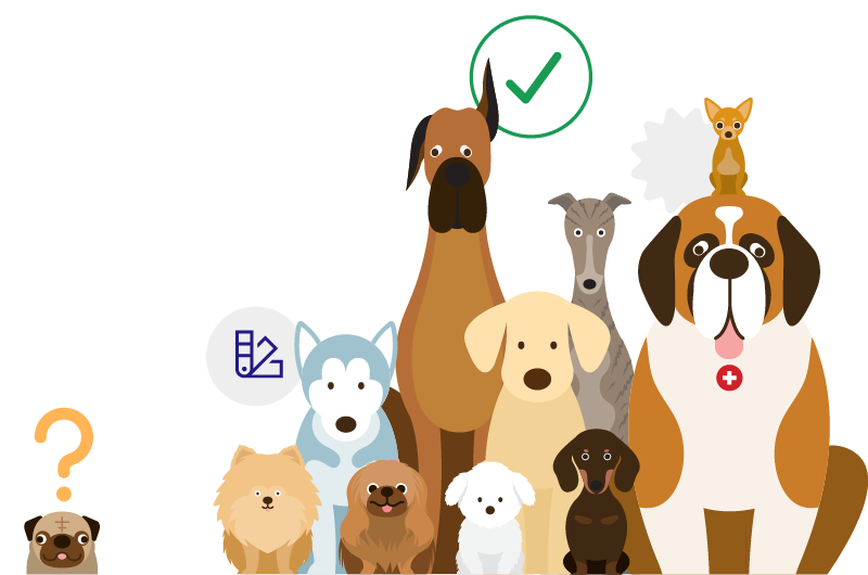 Habitants canins mieux répertoriés